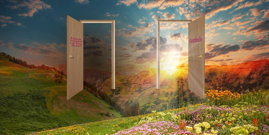 Two Doors Vision - Image Only