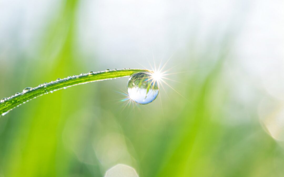 A crisp full-width 1200x624 landscape photograph of a morning dewdrop on a blade of grass, bursting with clean sunlight to represent retraining the subconscious mind.