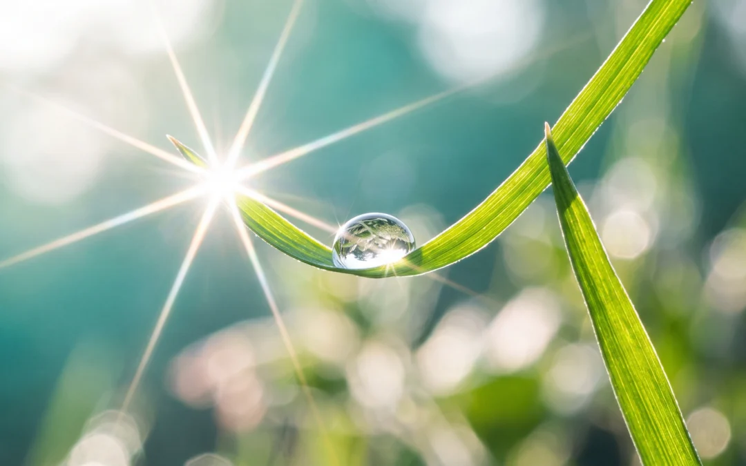 Close-up shot of a clear morning dewdrop resting on a vibrant green blade of grass with a bright sun starburst flare and soft emerald bokeh.