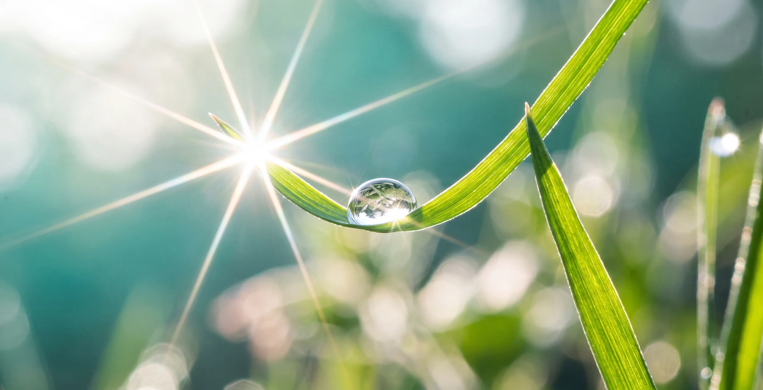 Close-up shot of a clear morning dewdrop resting on a vibrant green blade of grass with a bright sun starburst flare and soft emerald bokeh.